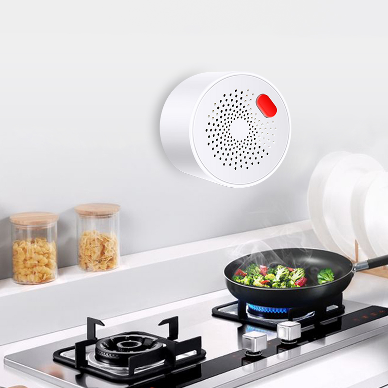 Tuya Sensor Gas alami Wifi rum - Home Security Business ulasan dan harga